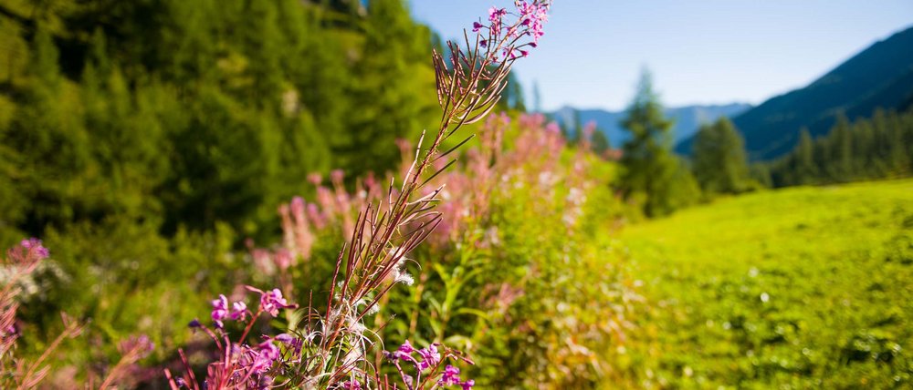 Wellnessurlaub in der Schweiz: Treatments und Massagen Wellnessurlaub in der Schweiz: Treatments und Massagen
