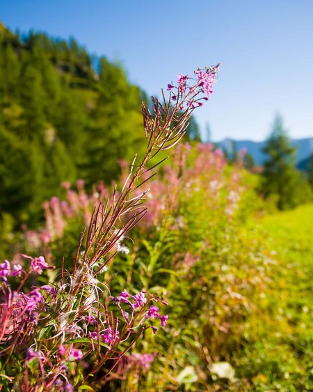 Wandern in Graubünden: die Berge und Sie Wandern in Graubünden: die Berge und Sie
