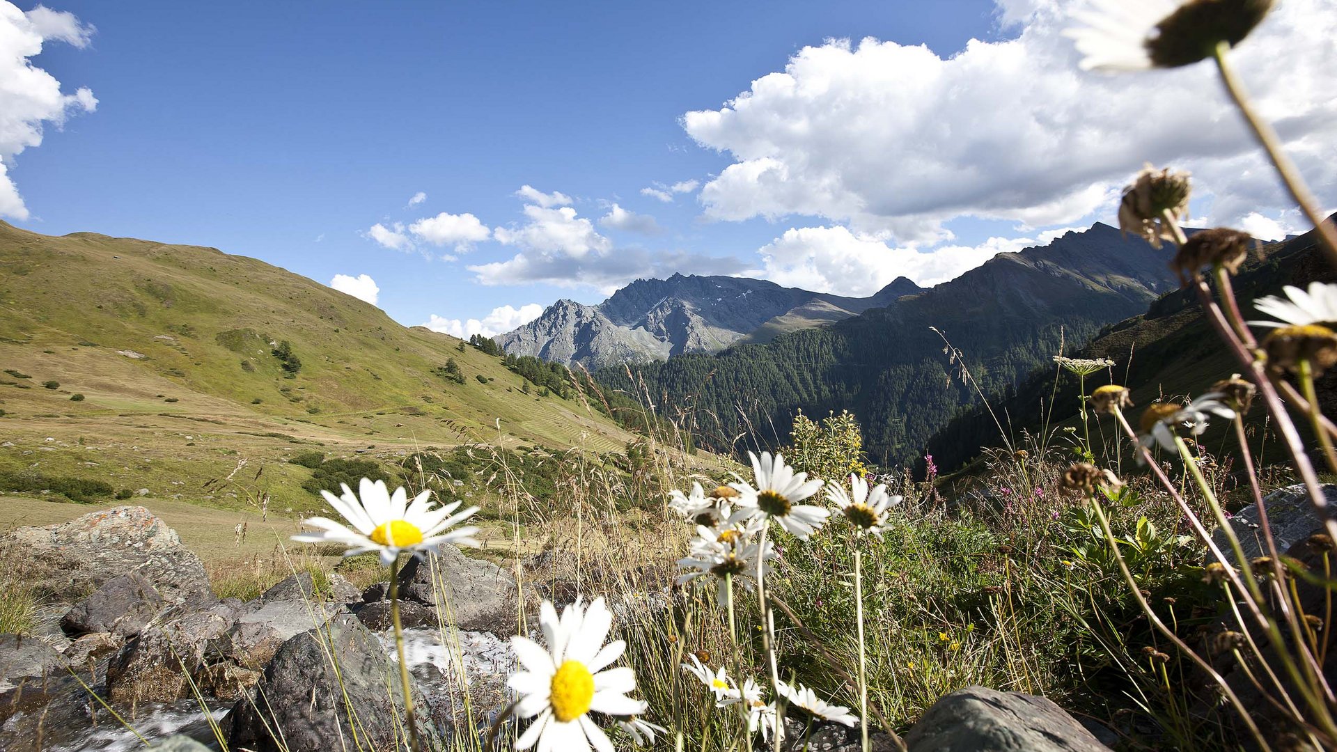 Samnaun: Sommer, Sonne, Panoramen