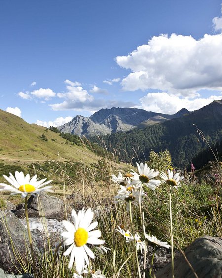Wandern in Graubünden: die Berge und Sie Wandern in Graubünden: die Berge und Sie