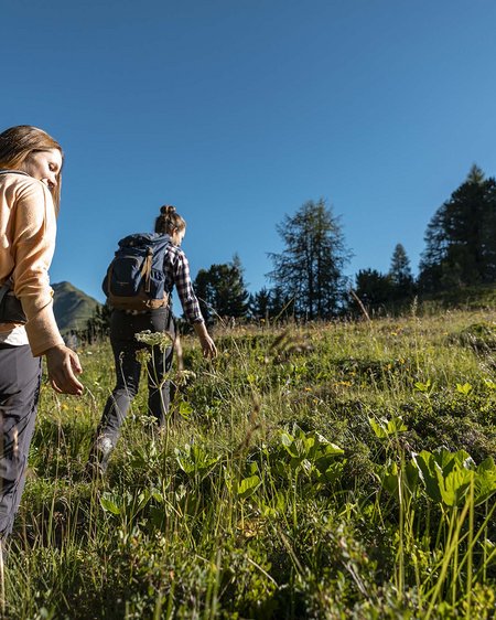 Wandern in Graubünden: die Berge und Sie Wandern in Graubünden: die Berge und Sie
