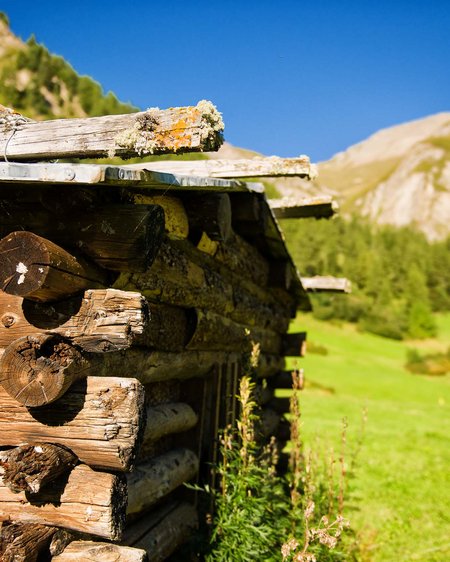 Samnaun: Sommer, Sonne, Panoramen Samnaun: Sommer, Sonne, Panoramen