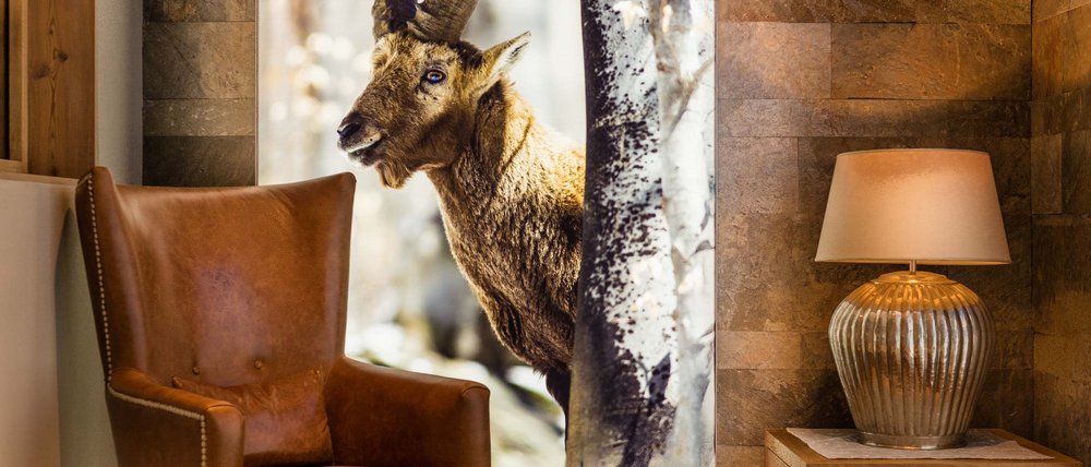 Your wellness hotel in Switzerland: our weekly programme Your wellness hotel in Switzerland: our weekly programme