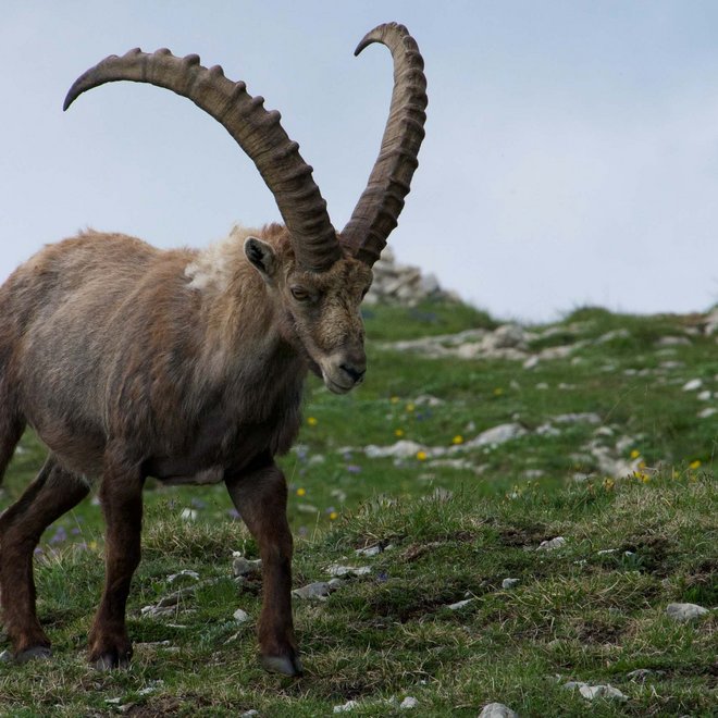 Sehenswürdigkeiten in und um Samnaun Sehenswürdigkeiten in und um Samnaun
